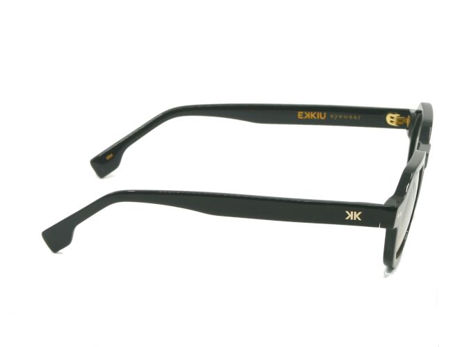 Lunettes-de-soleil-Ekkiu-KT-22404-A-noire-Vue-de-branches